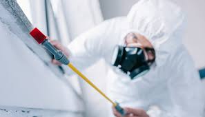 Pest Control for Warehouses in Gaffney, SC